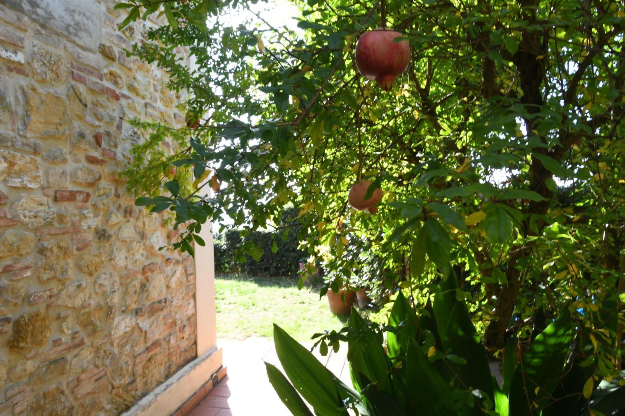 Podere Le Monache Montaione Exterior photo